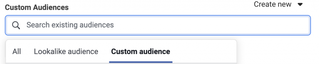 Facebook fashion ads custom audience